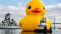 IMG_1548.PNG IMG_1548.PNG