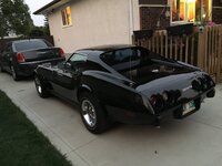 iOS Image - 3971992822.jpg