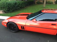 iOS Image - 504224964.jpg