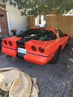 iOS Image - 3181711755.jpg