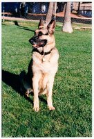 Duchess - photo.jpg