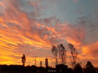 2017-10-23 07.33.14.jpg