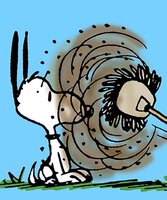 springclean.jpg springclean.jpg