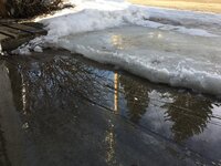 5EC09439-3B0D-4036-9DC0-D86C67862E04_jpeg.jpg 5EC09439-3B0D-4036-9DC0-D86C67862E04_jpeg.jpg