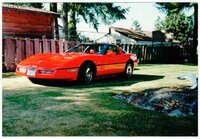 1981 Corvette -1.jpg