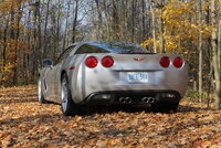 Our Corvette Rear In Leaves.JPG