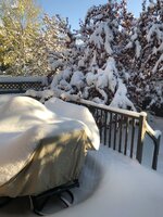 875463FF-1319-4032-9A14-6EB8B6FE4166.jpeg 875463FF-1319-4032-9A14-6EB8B6FE4166.jpeg