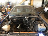 iOS Image - 339243770.jpg