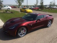 IMG_4480.JPG IMG_4480.JPG