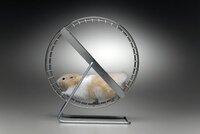 hamster-whell.jpg