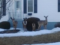 20190602_161535_2014-04-06 19.28.59.jpg