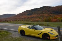 NEAR MANSONVILLE.JPG