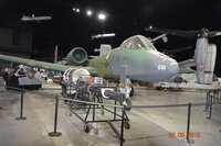 AIR FORCE 11 WARTHOG 2.JPG