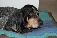 DSC_0264.JPG DSC_0264.JPG