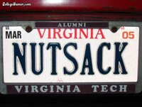 nutsack-funny-license-plates.jpg