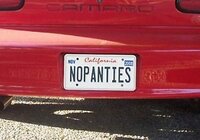 no-panties-funny-license-plates.jpg
