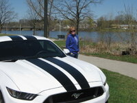 Lauries Mustang GT 008.JPG