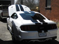 Lauries Mustang GT 012.JPG