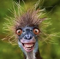 51B73C20-502E-4858-B860-FC40BE92EB7B.jpeg 51B73C20-502E-4858-B860-FC40BE92EB7B.jpeg