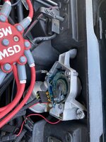 iOS Image - 3182869512.jpg