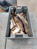 IMG_20200712_154801911_HDR.jpg IMG_20200712_154801911_HDR.jpg