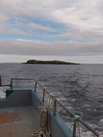 IMG_20200712_152943184.jpg IMG_20200712_152943184.jpg