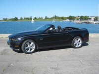 Mustang Pinstriped 001.JPG