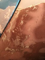 iOS Image - 2208941186.jpg