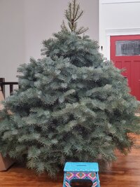 20201206_165245.jpg