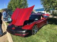 IMG_5619.JPG IMG_5619.JPG