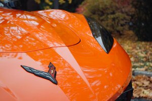 PHOTO-2020-11-03-12-32-36 2.jpg