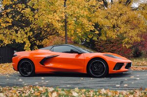 PHOTO-2020-11-03-12-32-40 2.jpg