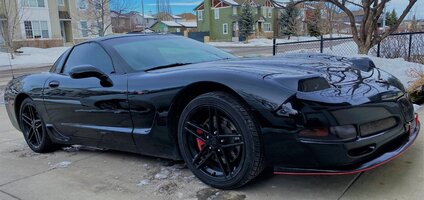 Z05 25 Feb 2021i1edit.jpg