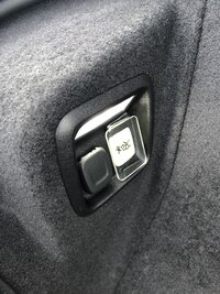 Frunk Emergency Button Cover.jpg Frunk Emergency Button Cover.jpg