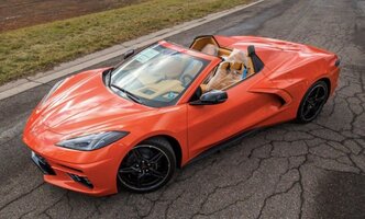 Last-2020-Corvette-1.jpeg