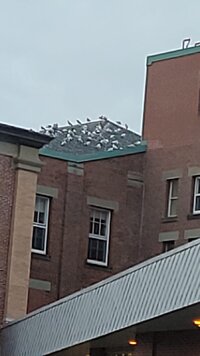 ECE4CD51-1288-43D0-AE2F-95A18D4E80DE.jpeg ECE4CD51-1288-43D0-AE2F-95A18D4E80DE.jpeg