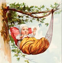 corvette sleeping.jpg