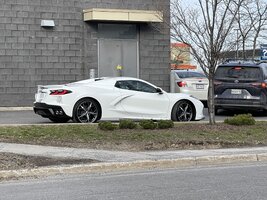 IMG_7305.jpg