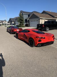 iOS Image - 44591839.jpg