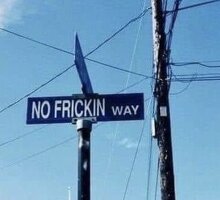 D783B1DC-0531-4616-902E-66D9C4D508CA.jpeg D783B1DC-0531-4616-902E-66D9C4D508CA.jpeg