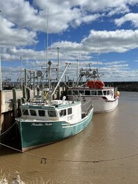 3CCD7E9B-2EF3-4DB6-8629-4776F08C936A.jpeg 3CCD7E9B-2EF3-4DB6-8629-4776F08C936A.jpeg