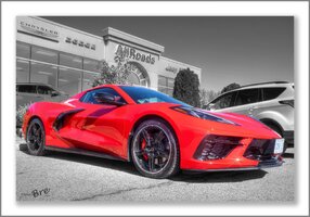 DSCF9295_6_7_Enhancer Doous Vet 2022 1920.jpg