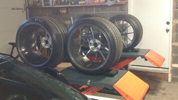 IMG_20230624_152915.jpg