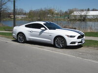 lauries Mustang GT 006.JPG