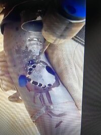 369604358_1690472344797568_8492080238433222384_n (1).jpg