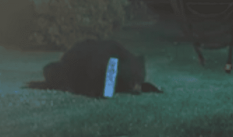 1695489986111.png