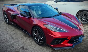 20240202_145005 - Copy.jpg