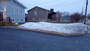 IMG_20240307_175246529.jpg IMG_20240307_175246529.jpg