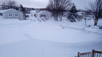 IMG_20240309_065231082.jpg IMG_20240309_065231082.jpg