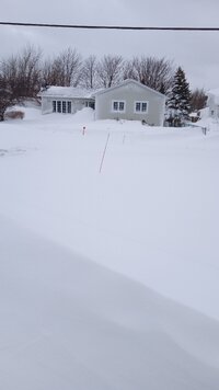 IMG_20240309_074022215.jpg IMG_20240309_074022215.jpg